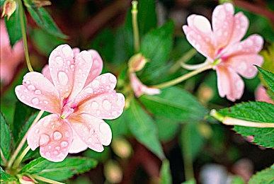 《三角洲行动》剧情战役将把过场动画最少化 1月上线